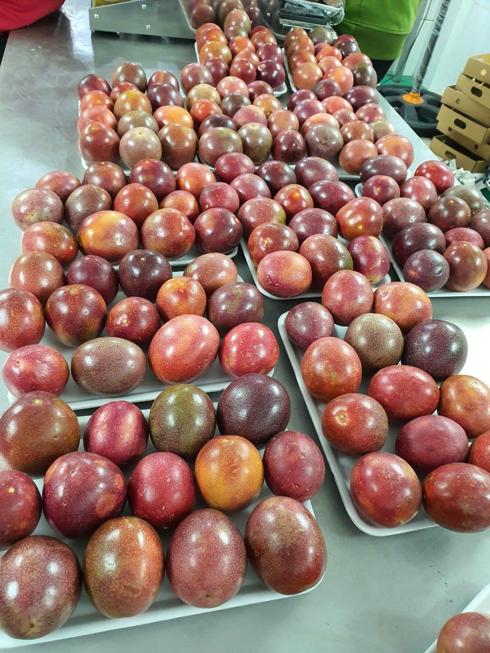 Fresh fruit ready to export by air