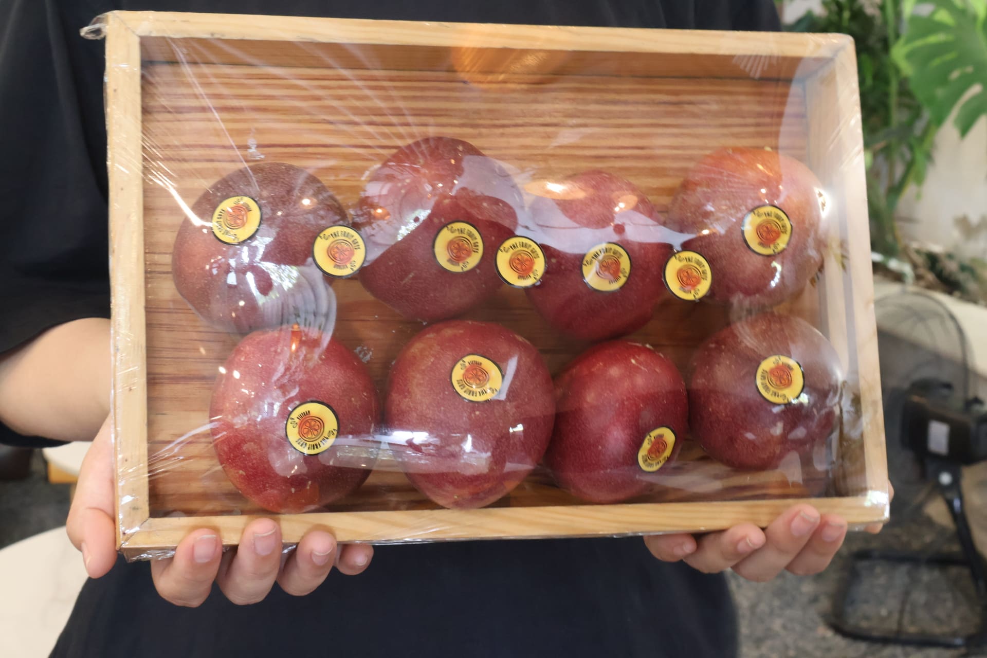 The Fruit Guys product photo