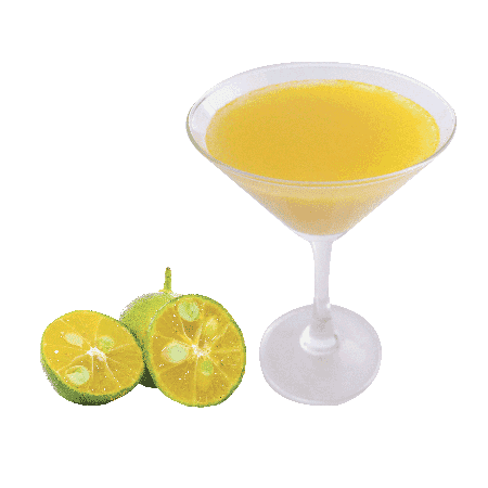 Calamansi Juice Concentrate