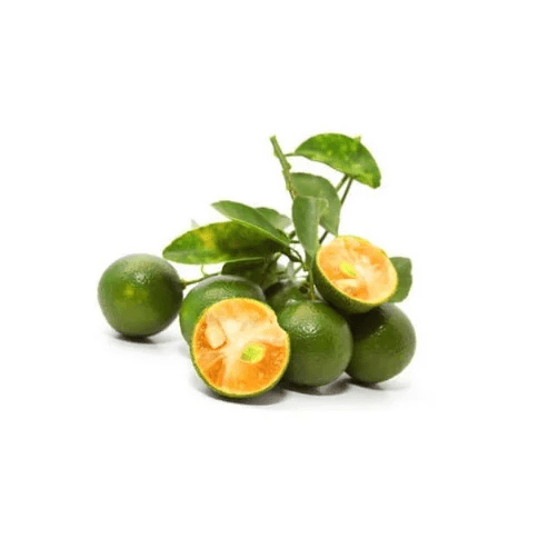 Fresh Calamansi